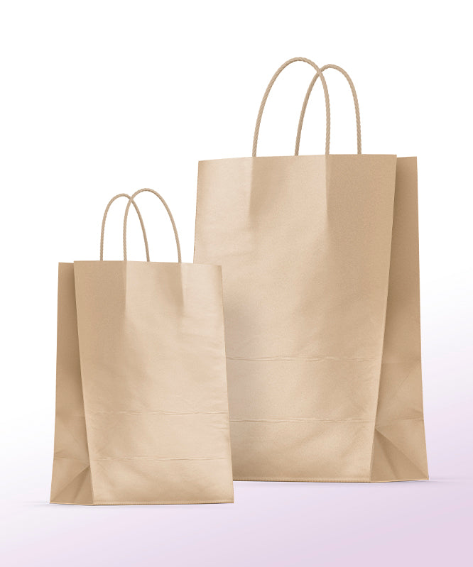 Kraft Bag with handle / Base: 19.5x18 cm H:25 cm - 10pcs